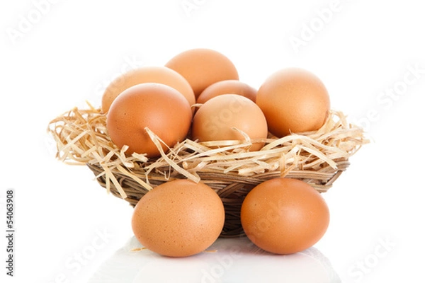 Obraz eggs isolatedon white background