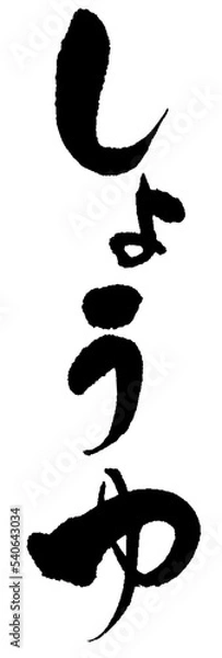 Obraz しょうゆ_05