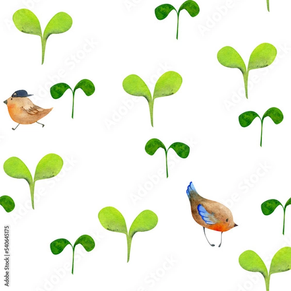 Fototapeta Watercolor hand drawn seamless pattern with green plants, birds and sprouts, isolated on white background. Design for cards, gift bags, invitations, textile, print, wallpaper, for children