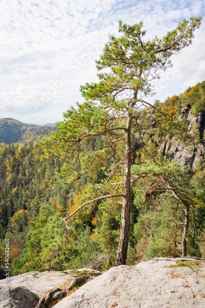 Obraz Idyllic and panoramic view of Czech Republic, National Park, Bohemian Switzerland, České Švýcarsko