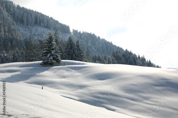 Obraz Winterlandschaft