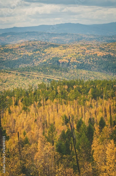 Obraz autumn in the mountains
