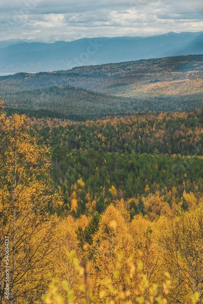 Obraz autumn landscape in the mountains