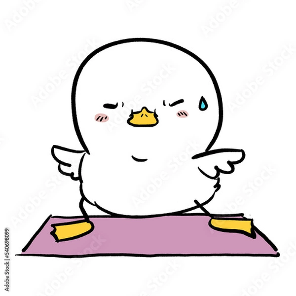 Fototapeta Yoka pose duck