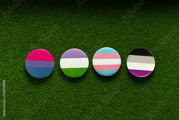 Obraz Bisexual, genderqueer, transgender, asexual badges on a green lawn grass.