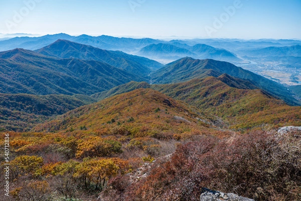 Obraz 지리산 노고단 단풍  