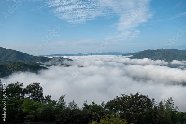 Obraz 운해 구름의 바다와 하늘 풍경