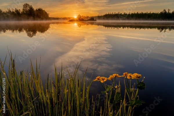 Obraz sunset on the lake