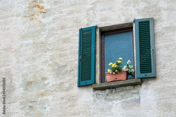 Fototapeta window with flowers