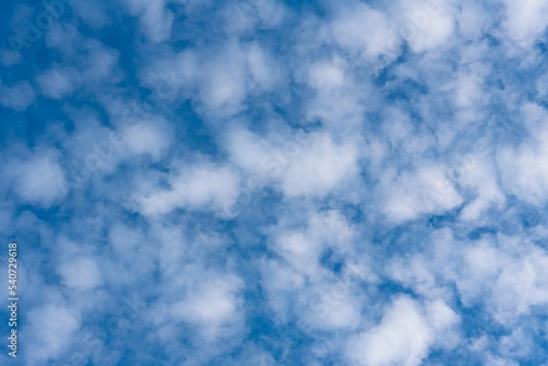 Fototapeta Sky. Blue sky with clouds. White, soft clouds, ripples in the sky