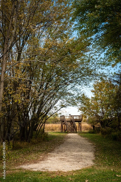 Obraz A gravel pathway leading to an observation deck at the edge of a densely foliaged field