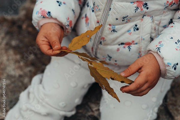 Fototapeta child keeping leaf