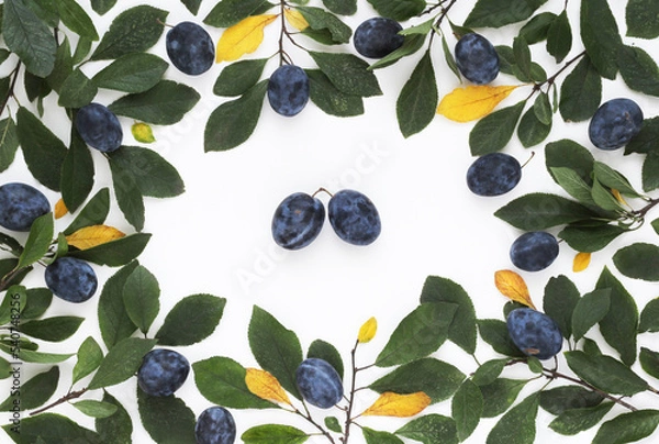 Obraz Frame of fresh plums and leaves on white background. Top view. Flat lay composition.