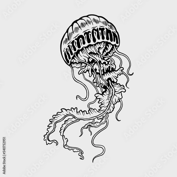 Obraz Jellyfish Hand drawn