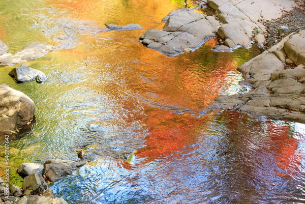 Obraz 紅葉の影が水面に映った美山川