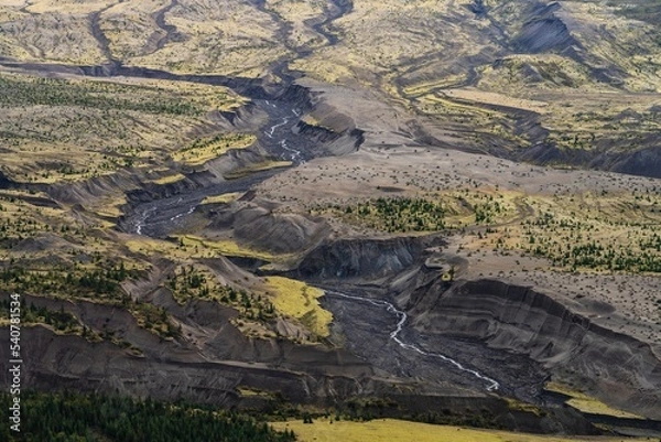 Obraz Mount St Helens Foreground