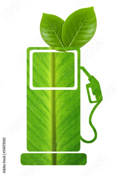 Obraz Green fuel with leaves