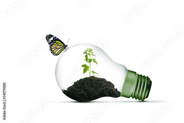 Obraz Lamp bulb and a plant inside