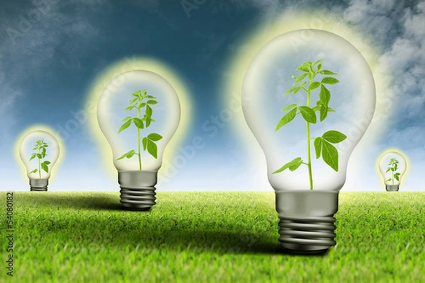 Obraz Lamp and nature