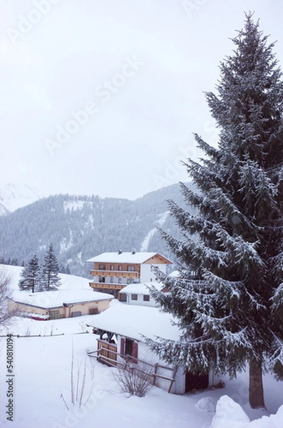 Obraz house in the snow