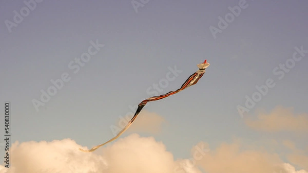 Obraz kite in the sky