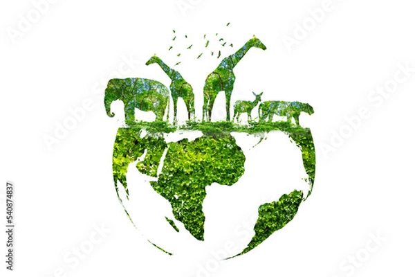 Obraz Wildlife shadows in a green globe Isolate on transparent background PNG file