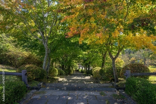 Fototapeta 長野県・茅野市 秋の永明寺山公園の風景
