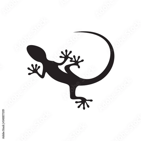 Fototapeta Gecko icon vector illustration sign