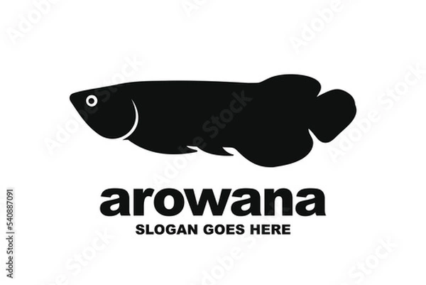 Obraz Arowana fish logo design vector