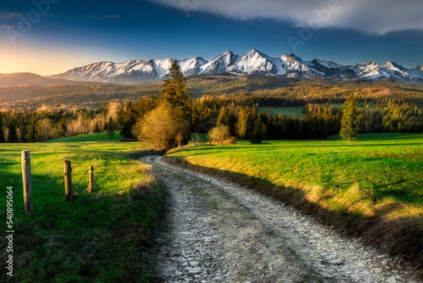 Fototapeta Tatra Mountains. View from the pass over Łapsznka. Mountains, meadows, fields, spring, Poland. Belianske Tatras. Tatry, Panorama. Widok z Przełęcz nad Łapsznką na góry, polska, spisz. 