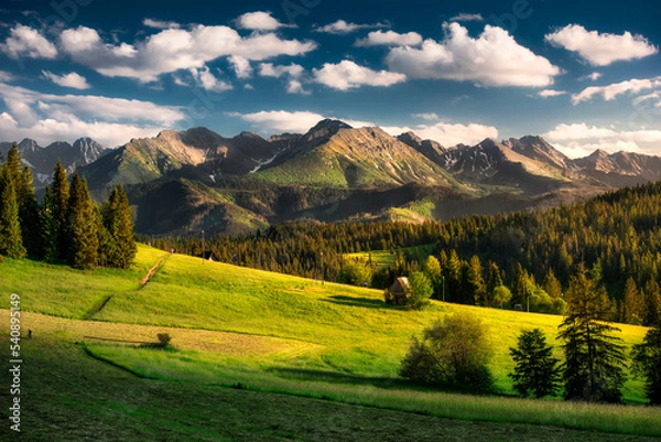 Fototapeta A panorama view of the Tatra Mountains in summer.  Meadows, pastures, sunset, Poland. Widok na Tatry, góry, łąki, hale, lato, Poland, Podhale, polana szymkówka.