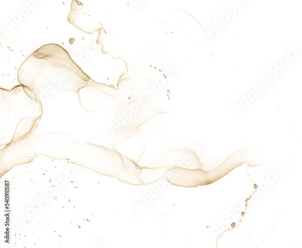 Obraz Alcohol Ink Texture. Oil Fluid Abstract Design.