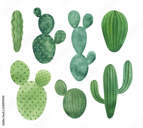 Fototapeta Watercolor cactuses set isolated on white background. Simple hand-drawn houseplants clipart. Green desert succulents