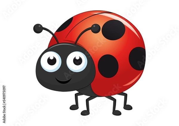 Fototapeta Ladybug character vector illustration. Cartoon ladybug isolated on white background