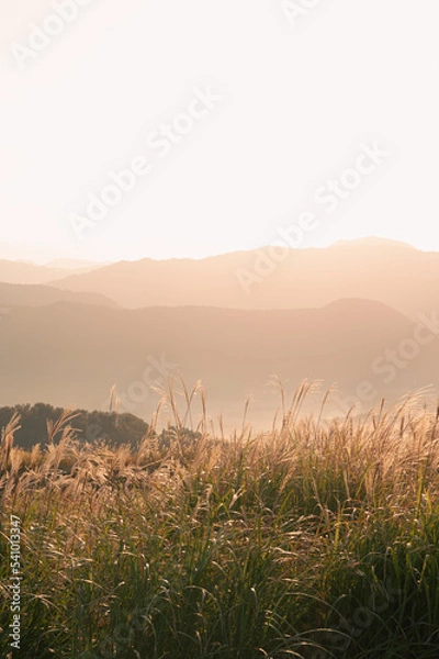 Fototapeta 秋吉台　長者ヶ峰展望台