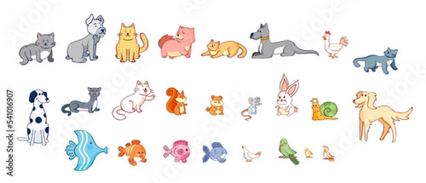Fototapeta Set group animals line color vector illustration