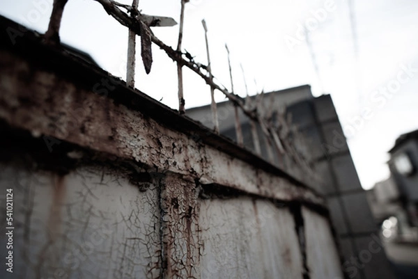 Fototapeta 錆びた鉄線