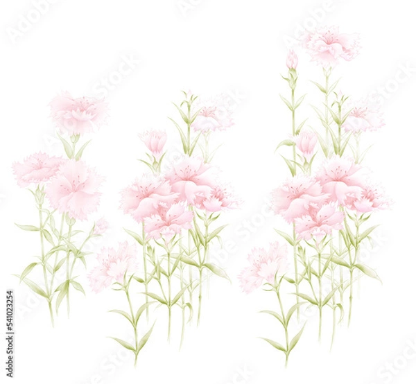 Fototapeta Flowers watercolor illustration.Manual composition.Big Set watercolor elements，Design for textile, wallpapers，Element for design,
Greeting card