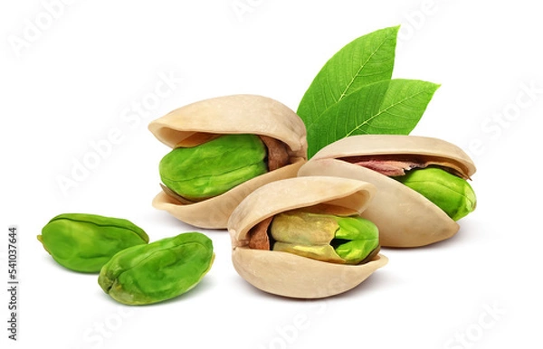 Fototapeta ピスタチオ イラスト リアル セット