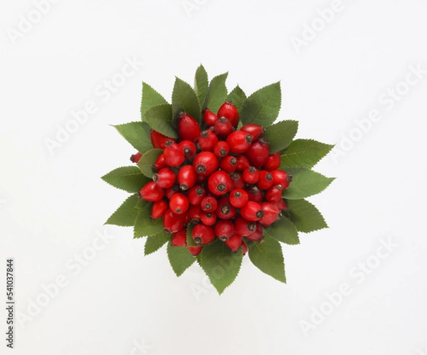 Obraz Rose hips bunch. Rosehip berries bouquet with leaves on a white background. Top view. Directly above photo.