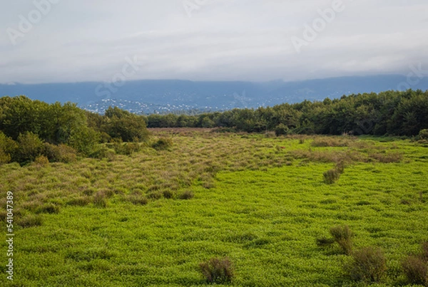 Fototapeta Kobuleti Managed Reserve, Kobuleti Protected Areas, National Park in Georgia.