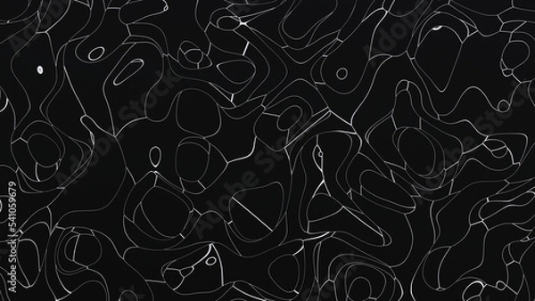 Obraz Abstract black and white liquid curves texture background