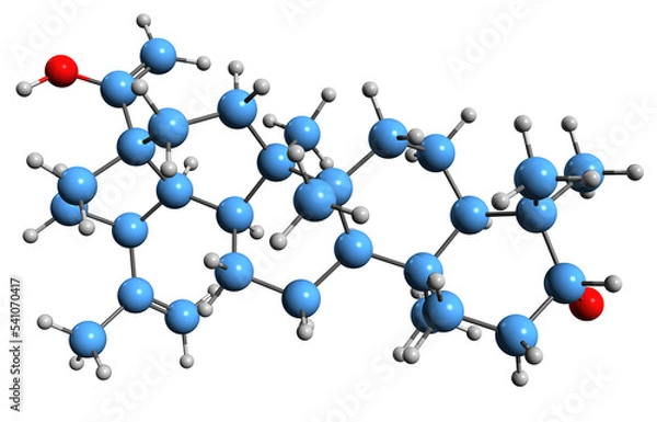 Fototapeta 3D image of Betulinic acid skeletal formula - molecular chemical structure of pentacyclic triterpenoid isolated on white background