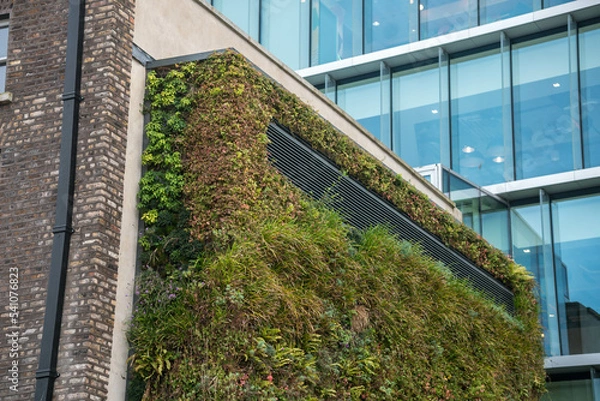 Fototapeta Green ecological facade of skyscraper covered in plants in capital Dublin