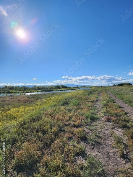 Obraz landscape with sky