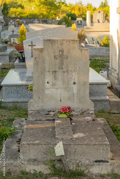 Fototapeta Old tombstone, adorned with flowers
