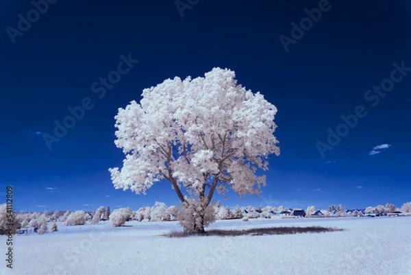 Fototapeta infrared photography - ir photo of landscape under sky with clouds - the art of our world in the infrared spectrum