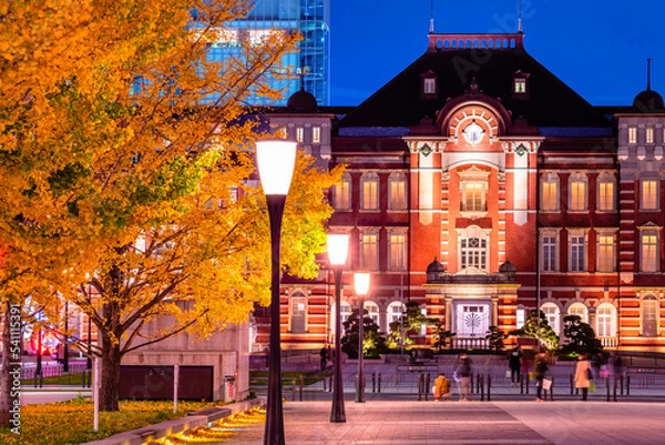 Obraz 東京駅　銀杏並木とイルミネーションの夜景