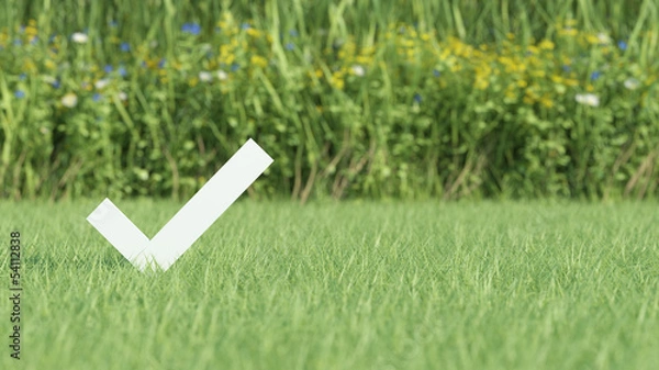 Obraz Check mark on grass field