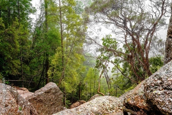 Fototapeta rainforest at Minnow Falls